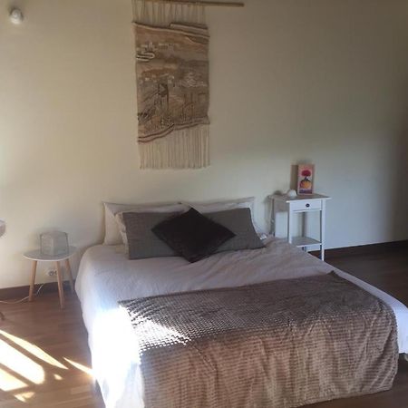 Sorginorratz Habitacion Con Encanto Luzuriaga エクステリア 写真